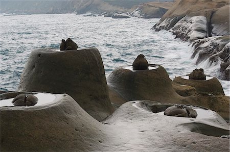 Coastal rock formations,Yehliu,Taipei County,Taiwan,Asia Foto de stock - Con derechos protegidos, Código: 841-03035847