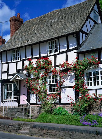 simsearch:841-03030035,k - Roses round the door of timber framed cottage, Pembridge, Herefordshire, England, United Kingdom, Europe Foto de stock - Direito Controlado, Número: 841-03030035