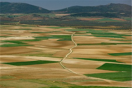 View from Windmill Hill, Consuegra, Toledo, Castile La Mancha, Spain, Europe Fotografie stock - Rights-Managed, Codice: 841-03030161