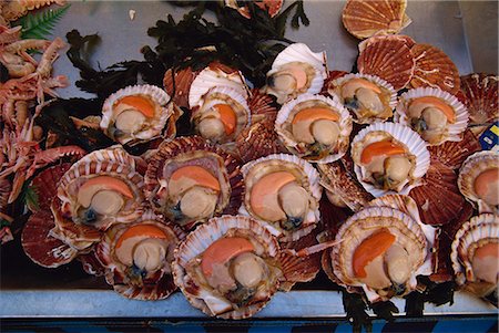 simsearch:841-02831113,k - Close-up of scallops in their shells for sale in a market in Loire Centre, France, Europe Foto de stock - Con derechos protegidos, Código: 841-03030220