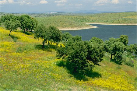 Landscape of fields, trees and lake in the Embalse de Cigara near Guadalupe in Extremadura, Spain, Europe Stock Photo - Rights-Managed, Code: 841-03030248