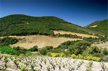 durban - Corbiere vignobles près de Durban, Languedoc-Roussillon, France, Europe Photographie de stock - Rights-Managed, Code: 841-03030272