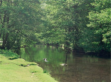 simsearch:841-03032092,k - Dovedale (Dove Dale), Derbyshire, Angleterre, Royaume-Uni, Europe Photographie de stock - Rights-Managed, Code: 841-03030359