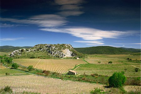 Paysage de vignobles et collines près de Neffiés, Herault, Languedoc Roussillon, France, Europe Photographie de stock - Rights-Managed, Code: 841-03030467