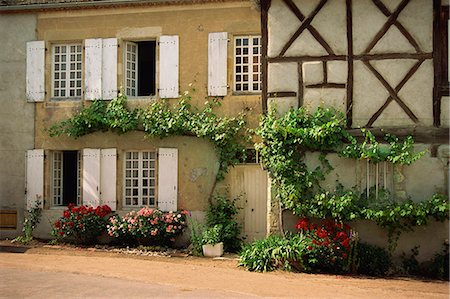 Vines and roses on the front of a house at Verneuil en Courbonnais, Allier, in the Auvergne, France, Europe Stock Photo - Rights-Managed, Code: 841-03030545
