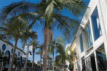 rodeo drive - Rodeo Drive, Beverly Hills, California, United States of America, North America Foto de stock - Con derechos protegidos, Código: 841-03030691