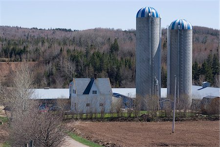 Bauernhof, Cape Breton, Nova Scotia, Kanada, Nordamerika Stockbilder - Lizenzpflichtiges, Bildnummer: 841-03030827