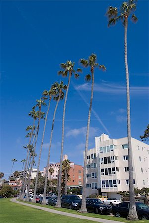 La Jolla, in der Nähe von San Diego, California, Vereinigte Staaten von Amerika, Nordamerika Stockbilder - Lizenzpflichtiges, Bildnummer: 841-03030864