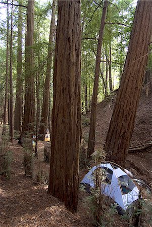 Camping au coeur de l'Amérique du Nord de redwood forest, Ventana, Big Sur, Californie, États-Unis d'Amérique, Photographie de stock - Rights-Managed, Code: 841-03030903