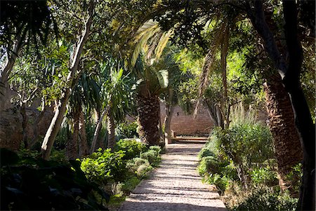 Gardens in the fortress of Chellah, near the Roman site of Sala Colonia, Rabat, Morocco, North Africa, Africa Stock Photo - Rights-Managed, Code: 841-03030958