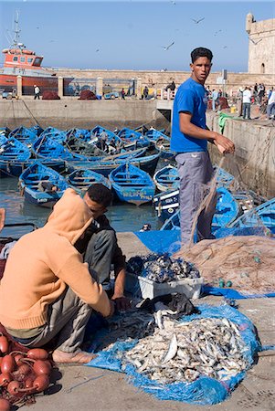 essaouira - Les prises de la journée, Essaouira, Maroc, l'Afrique du Nord, l'Afrique Photographie de stock - Rights-Managed, Code: 841-03031016