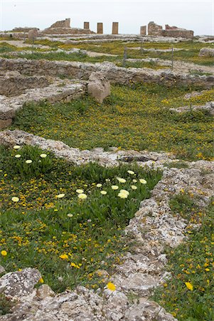 simsearch:841-05781756,k - Looking towards the peristyle house at Kerkouane, the only pure Punic site ever found, UNESCO World Heritage Site, Tunisia, North Africa, Africa Foto de stock - Con derechos protegidos, Código: 841-03031143