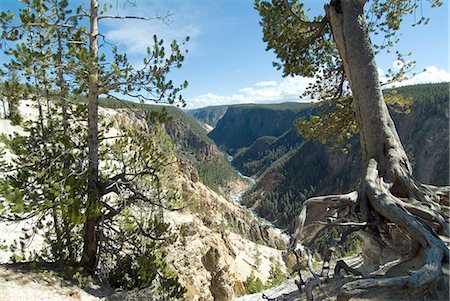 simsearch:841-03058752,k - Yellowstone Canyon, Yellowstone National Park, UNESCO World Heritage Site, Wyoming, United States of America, North America Stock Photo - Rights-Managed, Code: 841-03031361