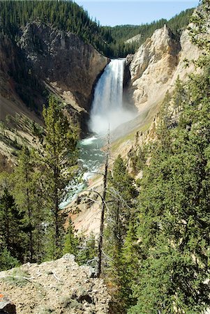 simsearch:841-03034234,k - Canyon de Yellowstone, Parc National de Yellowstone, l'UNESCO World Heritage Site, Wyoming, États-Unis d'Amérique, l'Amérique du Nord Photographie de stock - Rights-Managed, Code: 841-03031363