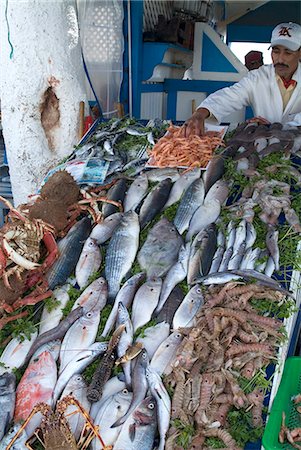 essaouira - Fish stall, Essaouira, Morocco, North Africa, Africa Stock Photo - Rights-Managed, Code: 841-03031504