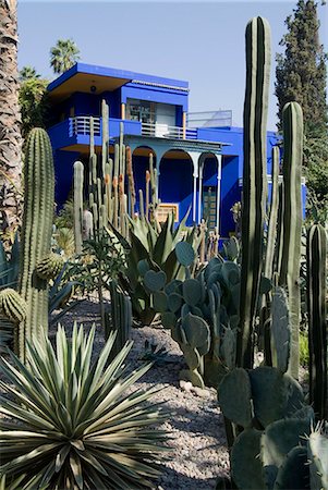 Jardin Majorelle, Marrakech, Morocco, North Africa, Africa Stock Photo - Rights-Managed, Code: 841-03031528