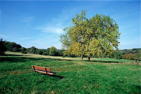 simsearch:841-02899385,k - Hampstead Heath, Londres, Royaume-Uni, Europe Photographie de stock - Rights-Managed, Code: 841-03031552