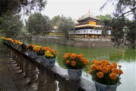 summer palace - Dalai Lama's former summer palace, Lhasa, Tibet, China, Asia Foto de stock - Con derechos protegidos, Código: 841-03031793