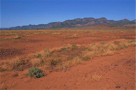 simsearch:841-02723005,k - Flinders Range, Range Heysen, Australie-méridionale, Australie, Pacifique Photographie de stock - Rights-Managed, Code: 841-03031980