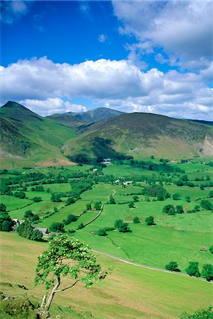 simsearch:841-03029670,k - Derwent Fells from Cat Bells, Lake District National Park, Cumbria, England, UK Stock Photo - Rights-Managed, Code: 841-03032016