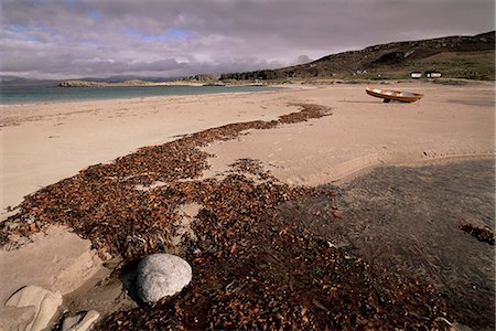 simsearch:841-02710902,k - Algues sur la plage, Udrigle Mellon, Wester Ross, région des Highlands, Ecosse, Royaume-Uni, Europe Photographie de stock - Rights-Managed, Code: 841-03032058