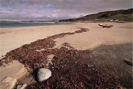 simsearch:841-03490044,k - Seaweed on beach, Mellon Udrigle, Wester Ross, Highland region, Scotland, United Kingdom, Europe Stock Photo - Rights-Managed, Code: 841-03032058