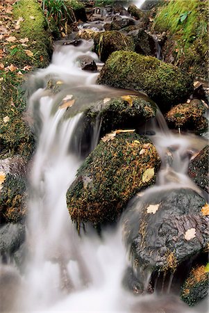 simsearch:841-02915017,k - Waterfall, Holme Wood, Lake District, Cumbria, England, United Kingdom, Europe Foto de stock - Con derechos protegidos, Código: 841-03032099