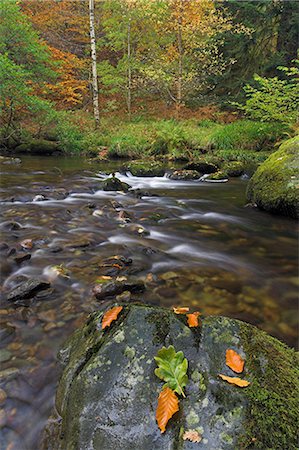 simsearch:841-02943873,k - Autumn colours at Aira beck which flows from Aira force into Ullswater, Lake District National Park, Cumbria, England, United Kingdom, Europe Foto de stock - Con derechos protegidos, Código: 841-03032259