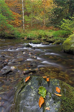 simsearch:841-03062713,k - Couleurs d'automne à Aira beck, qui découle de Aira force en Ullswater, Parc National de Lake District, Cumbria, Angleterre, Royaume-Uni, Europe Photographie de stock - Rights-Managed, Code: 841-03032259