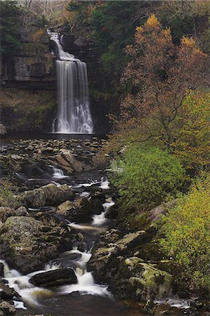 simsearch:841-03064682,k - Force de Thornton, cascades Ingleton marcher, Yorkshire Dales National Park, North Yorkshire, Yorkshire, Angleterre, Royaume-Uni, Europe Photographie de stock - Rights-Managed, Code: 841-03032264