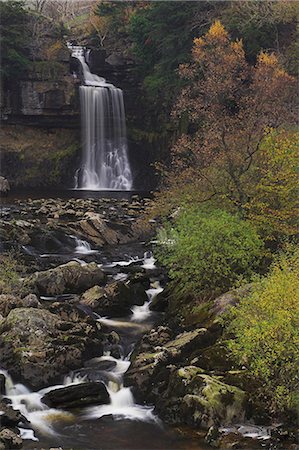 Thornton Force, Ingleton waterfalls walk, Yorkshire Dales National Park, North Yorkshire, Yorkshire, England, United Kingdom, Europe Stock Photo - Rights-Managed, Code: 841-03032264