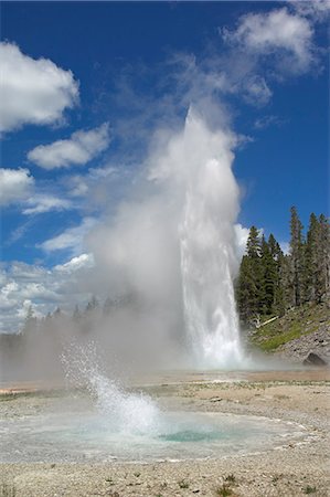 Grand Geyser erupting, Upper Geyser Basin, Yellowstone National Park, UNESCO World Heritage Site, Wyoming, United States of America, North America Foto de stock - Con derechos protegidos, Código: 841-03032322