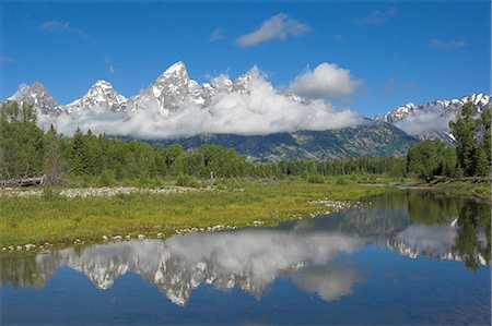 simsearch:841-03029734,k - The Cathedral Group of Mount Teewinot, Mount Owen and Grand Teton from the Snake River at Schwabacher's Landing, Grand Teton National Park, Wyoming, United States of America, North America Foto de stock - Con derechos protegidos, Código: 841-03032336