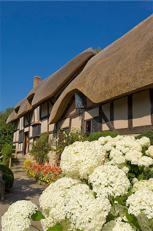 english garden not people - Cottage garden at Anne Hathaway's thatched cottage, Shottery, near Stratford-upon-Avon, Warwickshire, England, United Kingdom, Europe Stock Photo - Rights-Managed, Code: 841-03032450