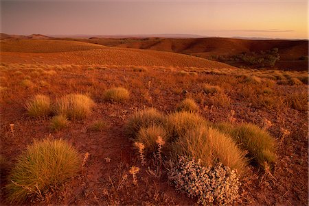 parc national flinders ranges - Stokes Lookout, Flinders Range, Australie-méridionale, Australie, Pacifique Photographie de stock - Rights-Managed, Code: 841-03032544