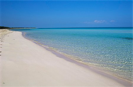 Cayo Coco, Cuba, Antilles, l'Amérique centrale Photographie de stock - Rights-Managed, Code: 841-03032872