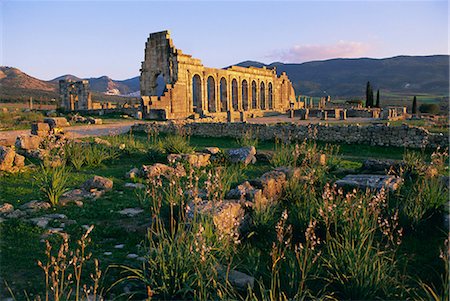 Site archéologique romain, Volubilis, région de Meknès, Maroc, Afrique du Nord, Afrique Photographie de stock - Rights-Managed, Code: 841-03032946