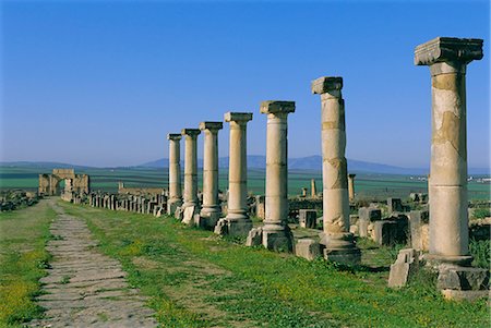 Roman archaeological site, Volubilis, Meknes Region, Morocco, North Africa, Africa Foto de stock - Con derechos protegidos, Código: 841-03032948