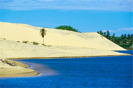 Palmiers, dunes de sable et un lagon près de la côte du Ceara, près de Canoa Quedrada, Ceara', Brésil, Amérique du Sud Photographie de stock - Rights-Managed, Code: 841-03033724