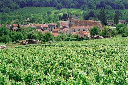 Cotes de Toul vineyards, village of Lucey, Meurthe-et-Moselle, Lorraine, France, Europe Stock Photo - Rights-Managed, Code: 841-03033870