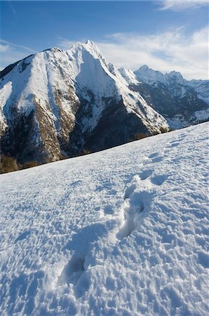 simsearch:841-03057240,k - Animal pistes dans la neige, Mont Pisanino, Garfagnana, parc régional des Alpes Apuanes, vers le Nord Ouest Toscane, de France, de l'Europe Photographie de stock - Rights-Managed, Code: 841-03054747