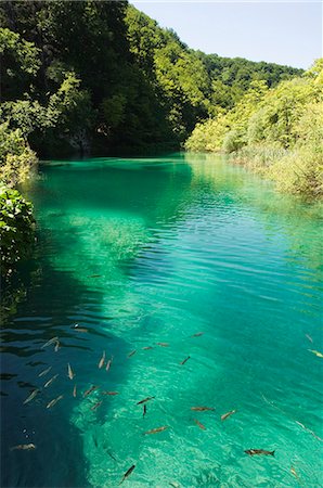 plitvice lakes national park - Petits poissons dans le lac turquoise, Parc National des lacs de Plitvice, l'UNESCO World Heritage Site, Croatie, Europe Photographie de stock - Rights-Managed, Code: 841-03054862