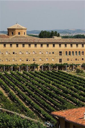 Vineyard and monastery, Olite, Navarra, Euskadi, Spain, Europe Stock Photo - Rights-Managed, Code: 841-03054942