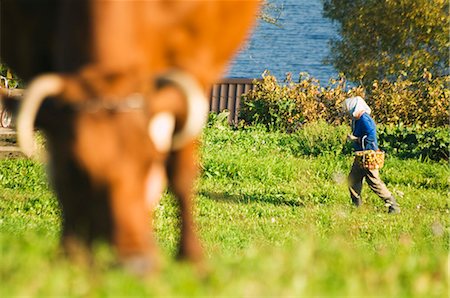 Femme collecte aliments sur la ferme, parc national premier parc National d'Aukstaitija, Lituanie, Lituanie, pays baltes, l'Europe Photographie de stock - Rights-Managed, Code: 841-03055005