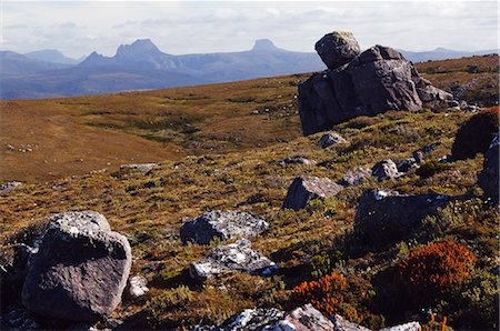 Black Bluff mountain with Cradle Mountain in the distance, Tasmania, Australia, Pacific Stock Photo - Rights-Managed, Code: 841-03055056