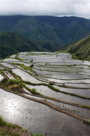Afternoon sunshine reflected on water filled rice terraces near Tinglayan, The Cordillera Mountains, Kalinga Province, Luzon, Philippines, Southeast Asia, Asia Foto de stock - Con derechos protegidos, Código: 841-03055238