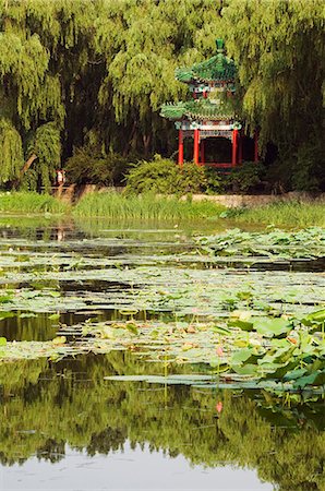 simsearch:841-03055557,k - A pavilion among lily pads on a lake at Yuanmingyuan (Old Summer Palace), Beijing, China, Asia Foto de stock - Con derechos protegidos, Código: 841-03055557