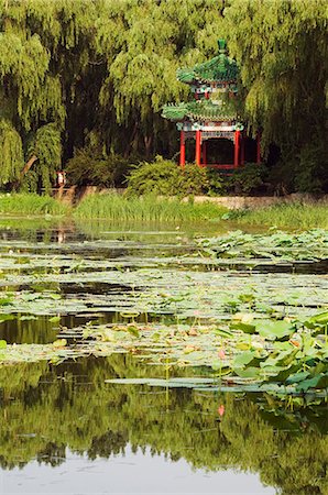 simsearch:841-03055529,k - A pavilion among lily pads on a lake at Yuanmingyuan (Old Summer Palace), Beijing, China, Asia Stock Photo - Rights-Managed, Code: 841-03055557