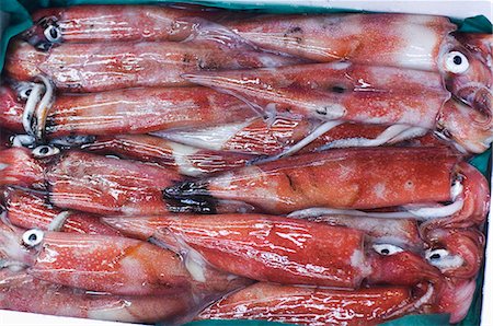Tintenfisch in Tsukiji Fisch Markt, Tokio, Insel Honshu, Japan, Asien Stockbilder - Lizenzpflichtiges, Bildnummer: 841-03055580