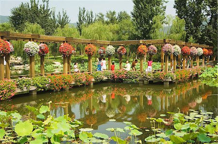 simsearch:841-02924518,k - Beijing Botanical Gardens, Beijing, Chine, Asie Photographie de stock - Rights-Managed, Code: 841-03055649